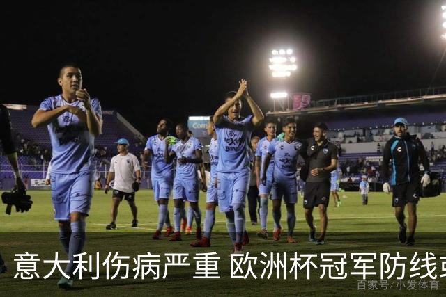 意大利伤病严重 欧洲杯冠军防线或全部无法上场
